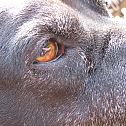 2009/11/img-1729