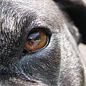 2009/11/img-1730
