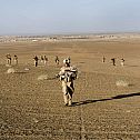 2009/11/spiegel-image-34685-galleryv9-ytda