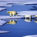2009/11/stern-klimawandel-29-maxsize-735-490