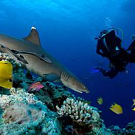 2009/11/stern-klimawandel-14-maxsize-735-490