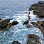 2009/11/img-0917