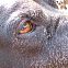 2009/11/img-1729