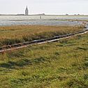 2009/12/spiegel-image-30425-galleryv9-lyro