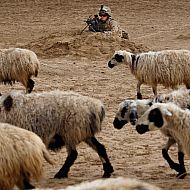 2009/12/boston-a02-21513829