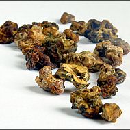 2009/12/krautchan-1260990028001