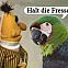 2009/12/hdf-1198633272005