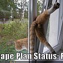 2010/01/funny-pictures-escape-plan-fail