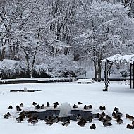 2010/01/spiegel-image-54332-galleryv9-wpht