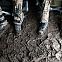 2010/01/spiegel-image-42938-galleryv9-eqpk