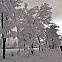 2010/01/spiegel-image-47478-galleryv9-ppnp