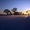 2010/01/spiegel-image-47484-galleryv9-qror