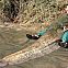 2010/01/stern-2010-kw-03-48-maxsize-735-490