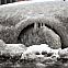 2010/01/stern-eiseskaelte-04-maxsize-735-490