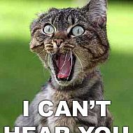 2010/02/funny-pictures12