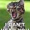 2010/02/funny-pictures12