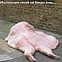2010/02/funny0440