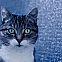 2010/02/happyphoton-3956317154-6a1c5854095