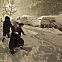 2010/02/spiegel-image-56418-galleryv9-siik