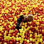 2010/02/stern-2010-kw-05-08-maxsize-735-490