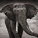 2010/09/designwar-1-100679-extralarge