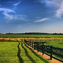 2010/09/fence-1920-1200-4246