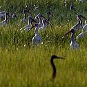 2010/09/g33-24402827