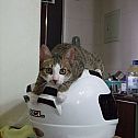 2010/09/oo