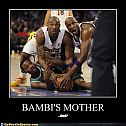 2010/09/wordpress-funny-sports-pictures-bambis-mother