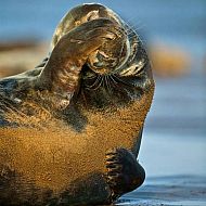 2010/09/2010-ocean-views18