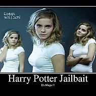 2010/09/harrypotterjailbait
