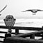 2010/09/00898-threebirdsonapier-2560x1600