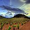 2010/09/googleapis-2256672