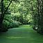 2010/09/image-122384-galleryv9-jvln
