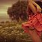 2010/09/nerdpol-6256-165d