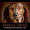 2010/09/smug-dog