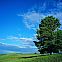 2010/09/summer-hills-1920-1200-5572