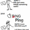 2010/11/bingping