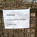 2010/11/wellensittich