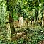2010/11/cemetery