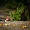 2010/11/imgur-cts8k