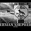 2011/01/634170975705878315-germanshepherd