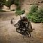 2011/01/image-114304-galleryv9-sxbb
