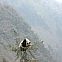 2011/01/image-114466-galleryv9-kmxm