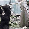 2011/03/1b018926d02c1151a62f044712abb480