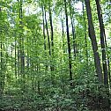 2011/04/dsc-5060-1