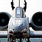 2011/04/pics-019-1
