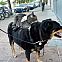 2011/04/pics-034-1