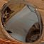 2011/04/sinn-frei-14855-010