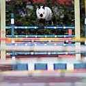 2011/05/image-206445-galleryv9-wxbt